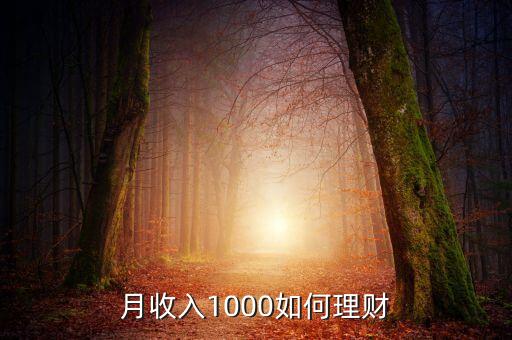 月收入1000如何理財(cái)