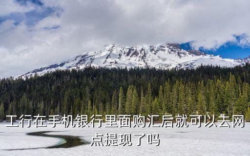工行在手機(jī)銀行里面購(gòu)匯后就可以去網(wǎng)點(diǎn)提現(xiàn)了嗎