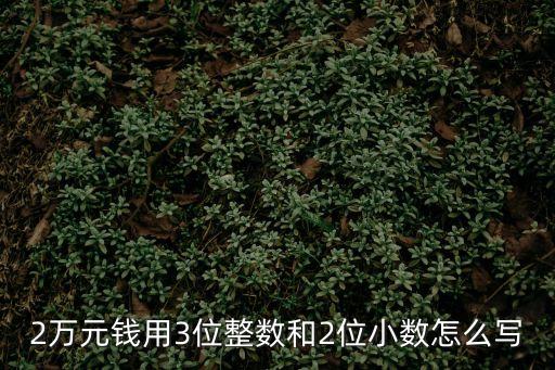 2萬(wàn)元錢(qián)用3位整數(shù)和2位小數(shù)怎么寫(xiě)
