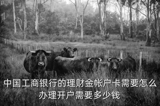 中國工商銀行的理財金帳戶卡需要怎么辦理開戶需要多少錢