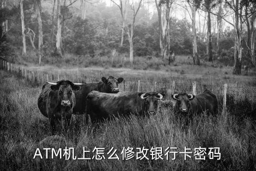 ATM機(jī)上怎么修改銀行卡密碼