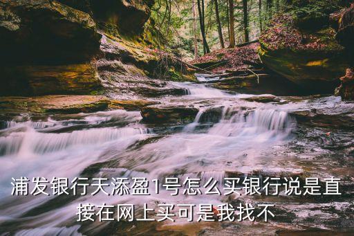 天添盈1號(hào)怎么買，浦發(fā)銀行的天添盈1號(hào)52的年化收益率且T0怎么樣