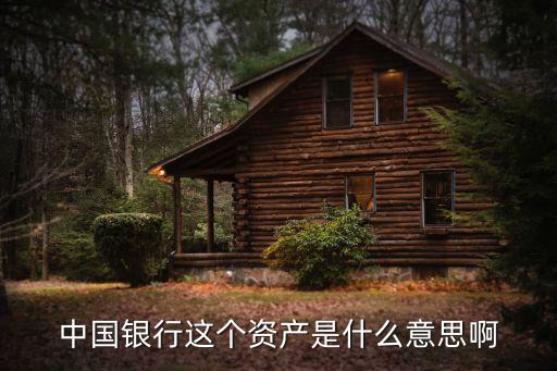 中國銀行總資產(chǎn)怎么用，中國銀行這個資產(chǎn)是什么意思啊