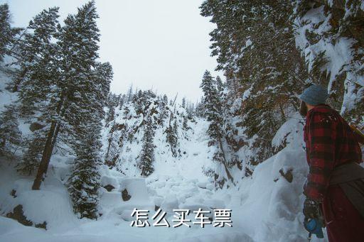 云閃付怎么買票，怎么在網(wǎng)上買票