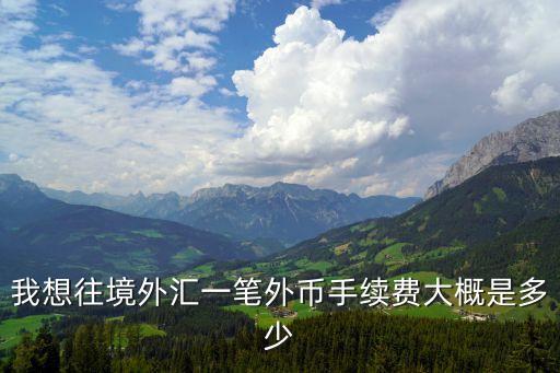我想往境外匯一筆外幣手續(xù)費大概是多少