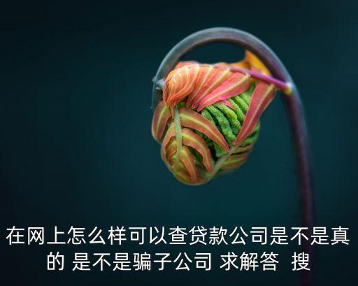 怎么查代款公司真假，在網(wǎng)上怎么樣可以查貸款公司是不是真的 是不是騙子公司 求解答  搜