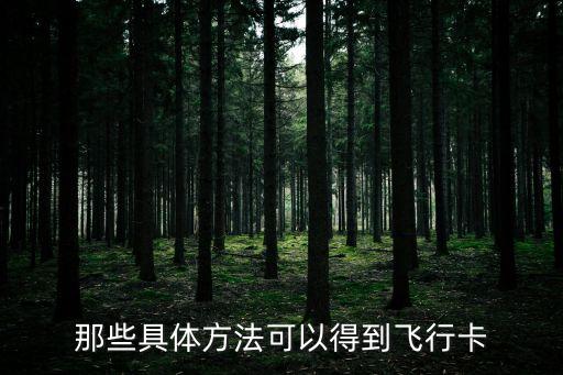 那些具體方法可以得到飛行卡