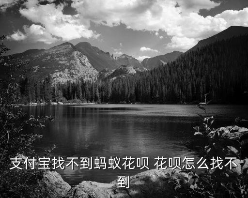 微信螞蟻信寶怎么找不到，公信寶下載地址我找不到呀要官方的