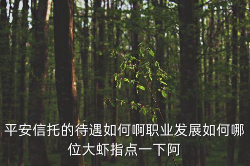 平安信托的待遇如何啊職業(yè)發(fā)展如何哪位大蝦指點一下阿