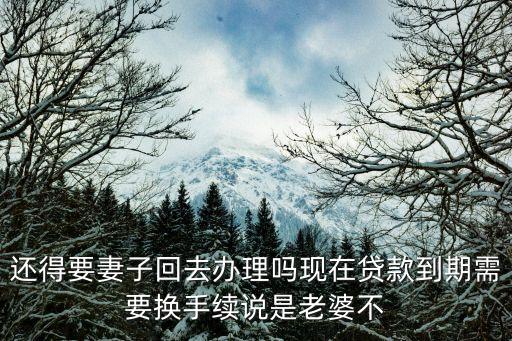 貸款下來后老婆有事去不了怎么辦，我現(xiàn)在辦理貸款 但是妻子在外地出差回不來 不能簽字怎么辦
