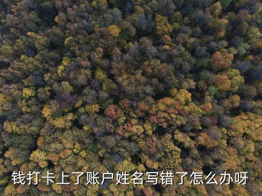 打款自己賬戶名錯(cuò)了怎么辦，支付寶轉(zhuǎn)賬到銀行卡時(shí)名字打錯(cuò)了怎么辦