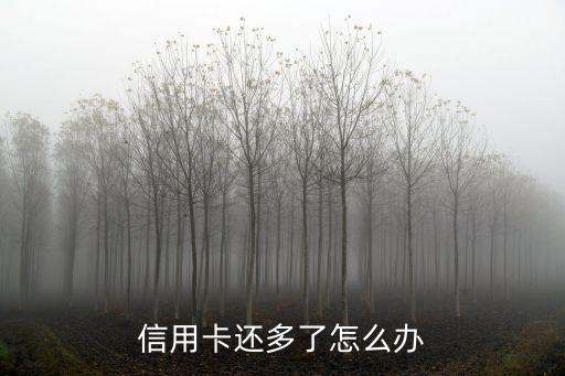 信用卡多還款了怎么辦，信用卡還款還多了的怎么辦