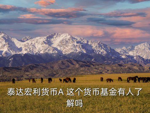泰達(dá)宏利貨幣A 這個貨幣基金有人了解嗎