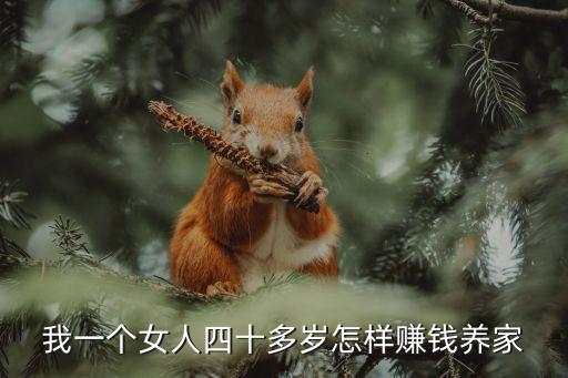 我一個(gè)女人四十多歲怎樣賺錢(qián)養(yǎng)家