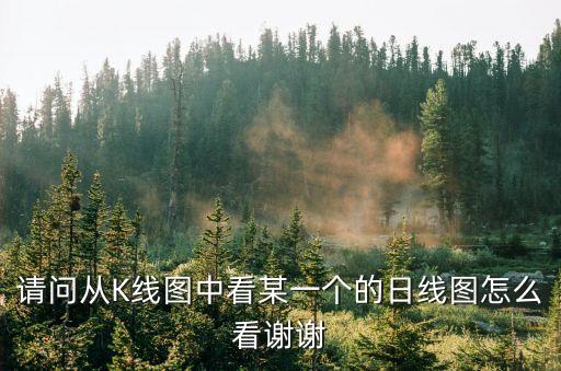 請問從K線圖中看某一個(gè)的日線圖怎么看謝謝