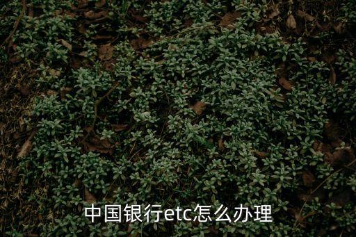 中國銀行etc怎么辦理