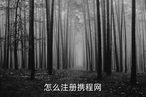 怎么注冊(cè)攜程網(wǎng)