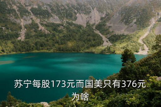 國美電器股價(jià)怎么便宜，蘇寧每股173元而國美只有376元為啥