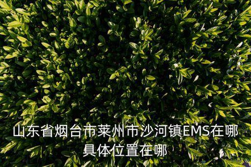 山東省煙臺市萊州市沙河鎮(zhèn)EMS在哪具體位置在哪