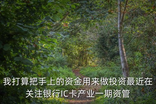 我打算把手上的資金用來做投資最近在關(guān)注銀行IC卡產(chǎn)業(yè)一期資管