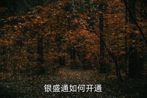 銀盛通如何開通
