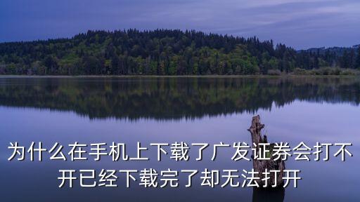 廣發(fā)證券軟件下載后怎么使用，廣發(fā)證券手機(jī)易淘金如何操作融資買入