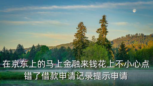 在京東上的馬上金融來(lái)錢(qián)花上不小心點(diǎn)錯(cuò)了借款申請(qǐng)記錄提示申請(qǐng)