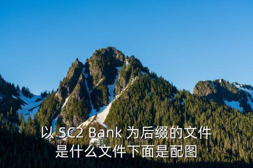 以 SC2 Bank 為后綴的文件是什么文件下面是配圖