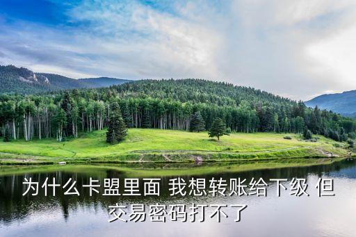 為什么卡盟里面 我想轉(zhuǎn)賬給下級 但交易密碼打不了