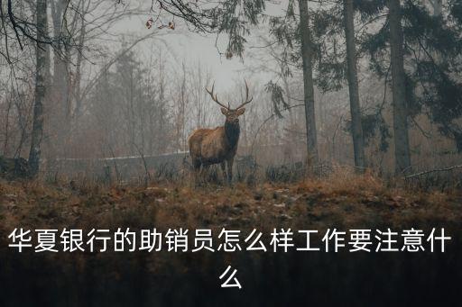 華夏銀行的助銷員怎么樣工作要注意什么