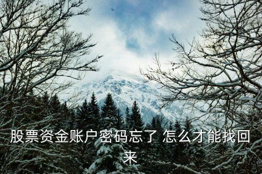 股票資金賬戶密碼忘了 怎么才能找回來