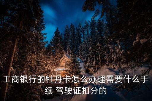 工商銀行的牡丹卡怎么辦理需要什么手續(xù) 駕駛證扣分的