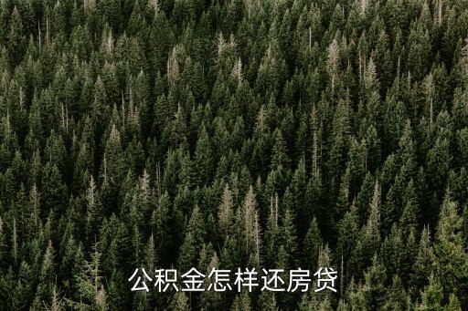 公積金還房貸怎么操作，住房公積金怎么還房貸