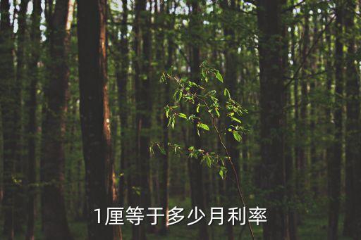 厘的利息怎么算，1厘等于多少月利率