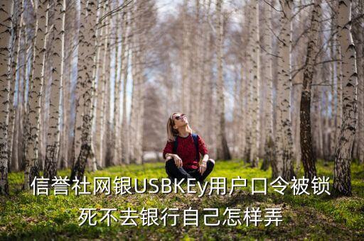 信譽社網(wǎng)銀USBKEy用戶口令被鎖死不去銀行自己怎樣弄