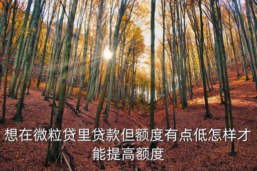 想在微粒貸里貸款但額度有點低怎樣才能提高額度