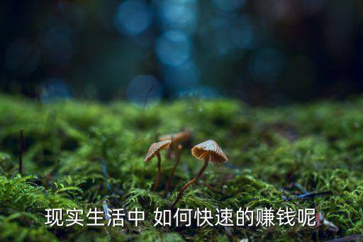 現(xiàn)實(shí)生活中 如何快速的賺錢呢