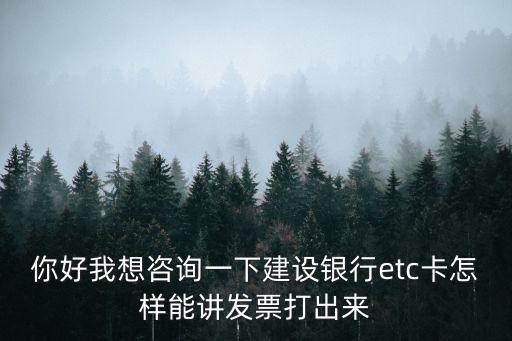你好我想咨詢一下建設(shè)銀行etc卡怎樣能講發(fā)票打出來