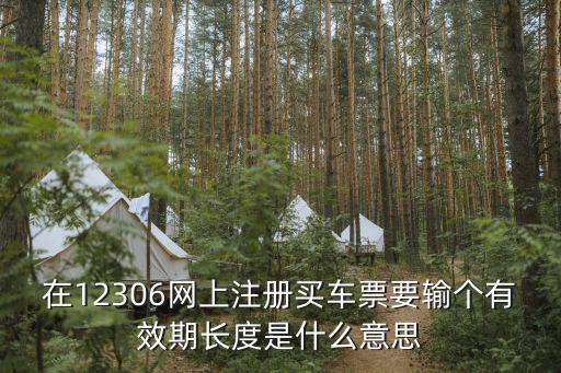 在12306網(wǎng)上注冊(cè)買(mǎi)車(chē)票要輸個(gè)有效期長(zhǎng)度是什么意思