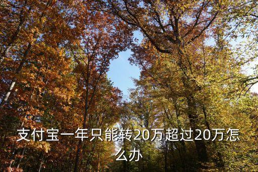 支付寶一年只能轉20萬超過20萬怎么辦