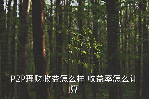 第一p2p收益怎么算，p2p理財(cái)產(chǎn)品收益怎么算