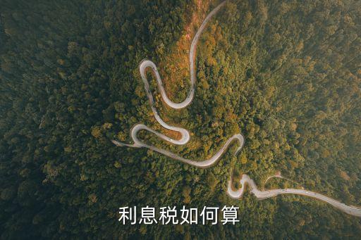 利息稅如何算