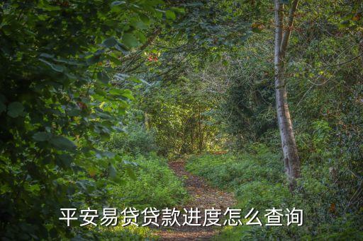 怎么查平安易貸申請成功沒，平安易貸貸款進(jìn)度怎么查詢