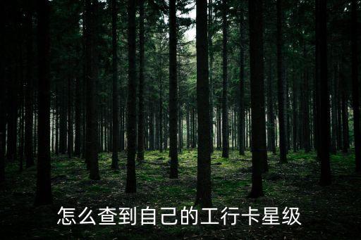 工行 星級(jí) 怎么看，如何查詢工行的星級(jí)