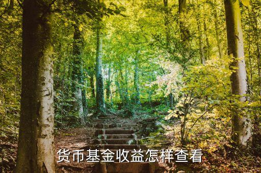 怎么看貨幣基金收益，貨幣基金的收益該怎么看
