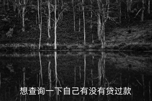 想查詢一下自己有沒有貸過款