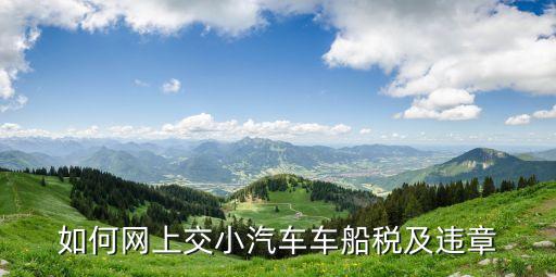 如何網(wǎng)上交小汽車車船稅及違章