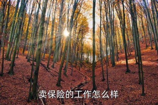 賣保險(xiǎn)的工作怎么樣