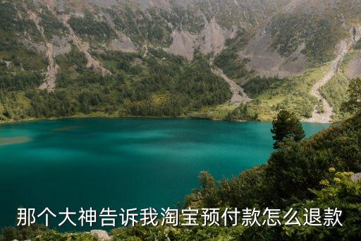 那個大神告訴我淘寶預(yù)付款怎么退款