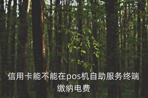 pos機怎么交電費，移動POS機盒子支付是如何辦理水電費電話費寬帶費充值繳付的